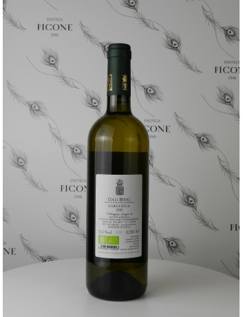 GARGANEGA 2020 PIOVENE PORTO GODI