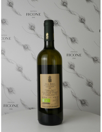FOSTINE SAUVIGNON 2021 PIOVENE PORTO GODI