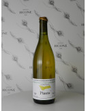 PIANTA ETNA BIANCO 2019 BIONDI
