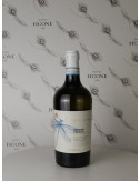 TREBBIANO D'ABRUZZO 2022 CANTINA TOLLO