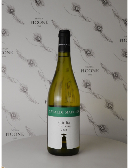 GIULIA PECORINO 2021 CATALDI MADONNA