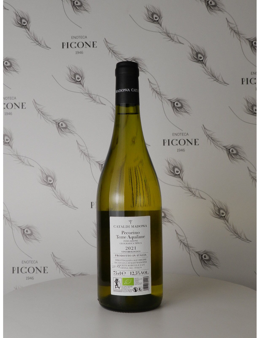 GIULIA PECORINO 2021 CATALDI MADONNA