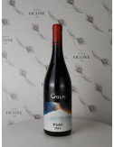 PINÒ 2016 GULFI