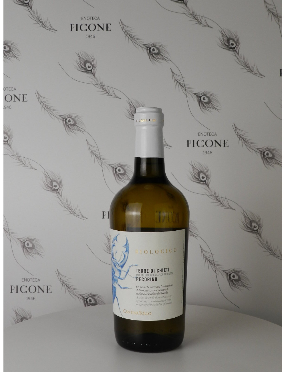 PECORINO 2023 CANTINA TOLLO