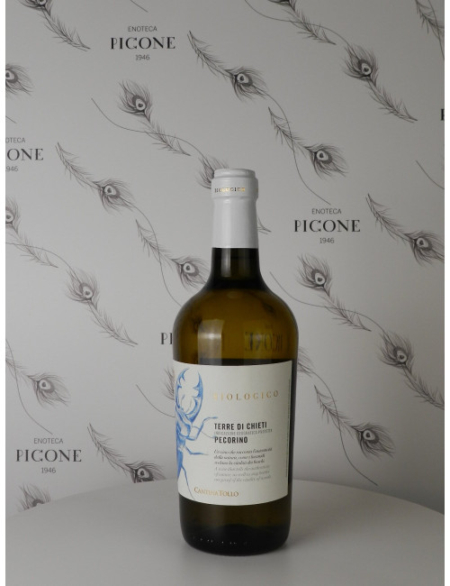PECORINO 2023 CANTINA TOLLO