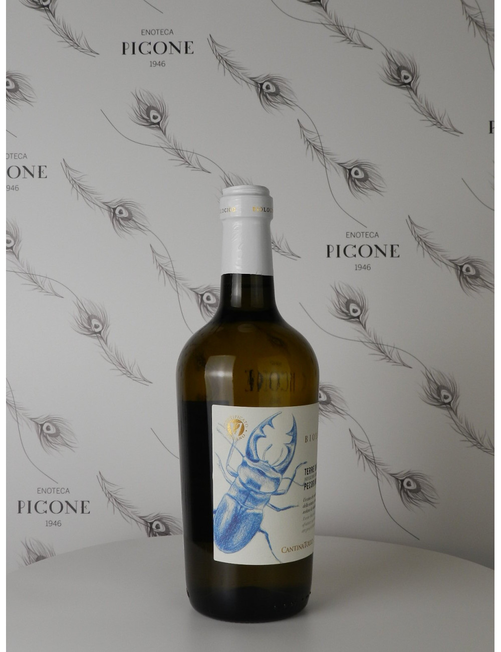 PECORINO 2023 CANTINA TOLLO