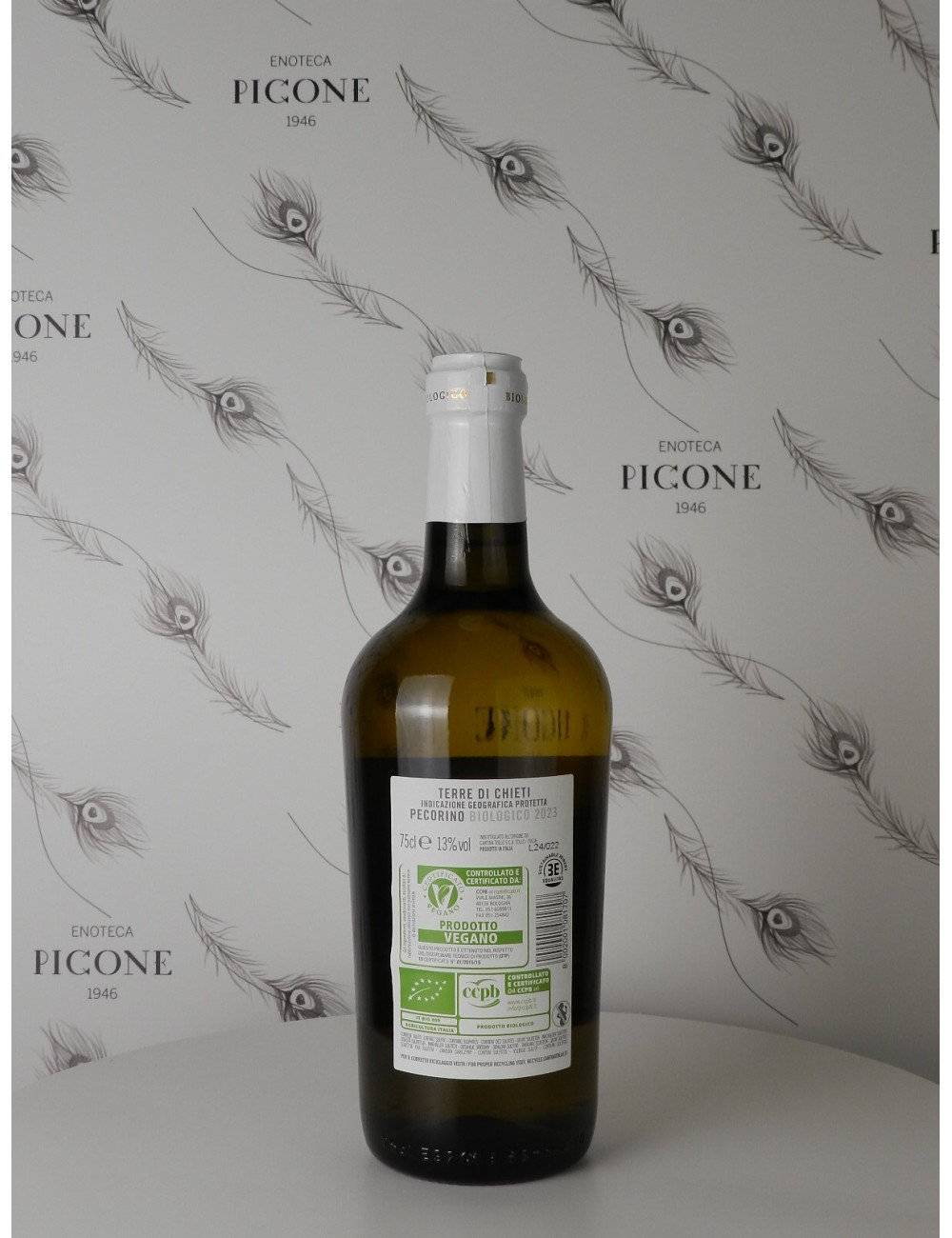 PECORINO 2023 CANTINA TOLLO