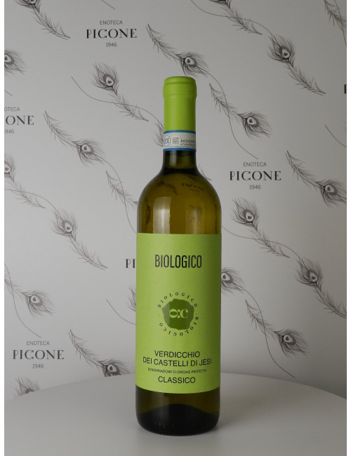 VERDICCHIO DEI CASTELLI DI JESI BIO 2022 CANTINA OFFIDA