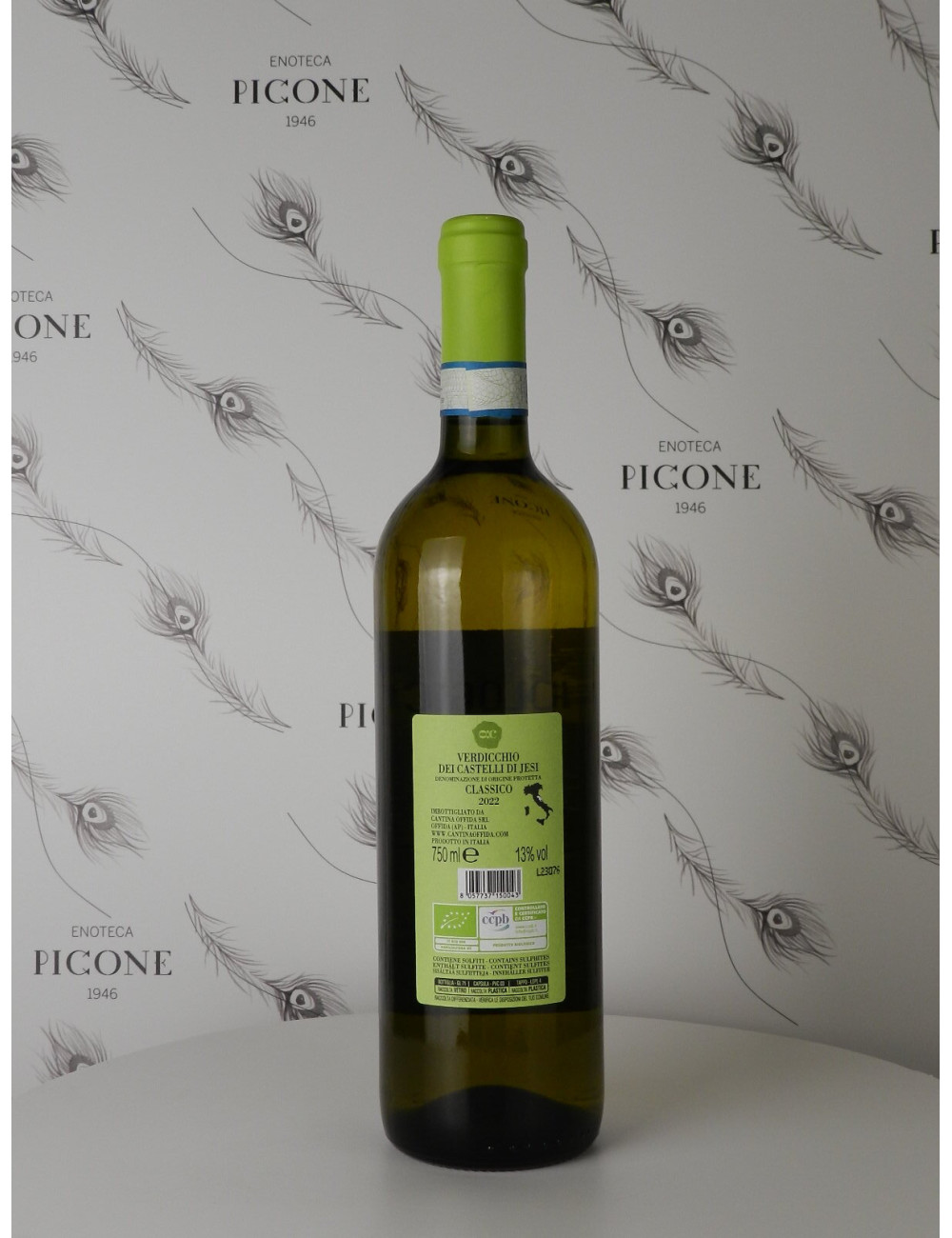 VERDICCHIO DEI CASTELLI DI JESI BIO 2022 CANTINA OFFIDA